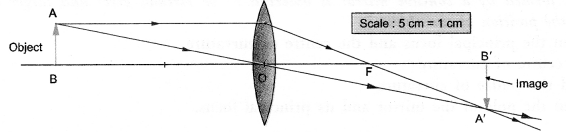 NCERT Solutions for Class 10 Science Chapter 10 Light Reflection and Refraction 6